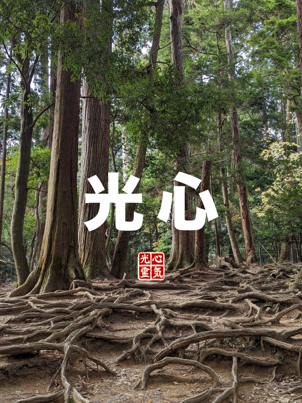 Photo of the Tree Root Path, or Kinone Michi, on Mount Kurama, with the kanji for Koshin Reiki superimposed on top.