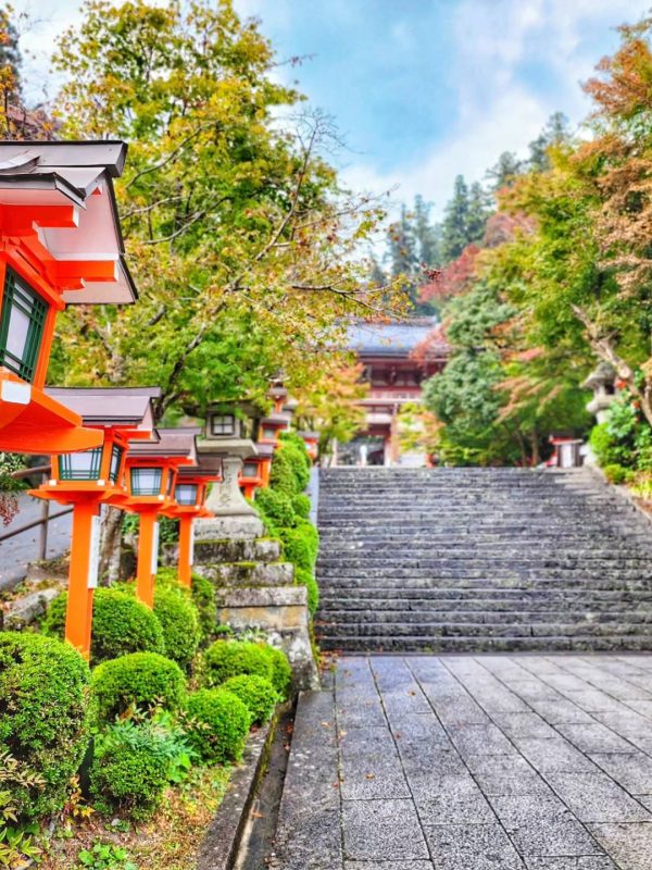 The steps of Mount Kurama leading up to the Niomon Gate.
